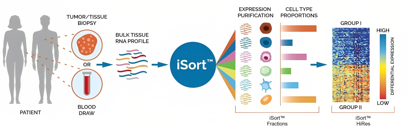 iSort™ Technologies